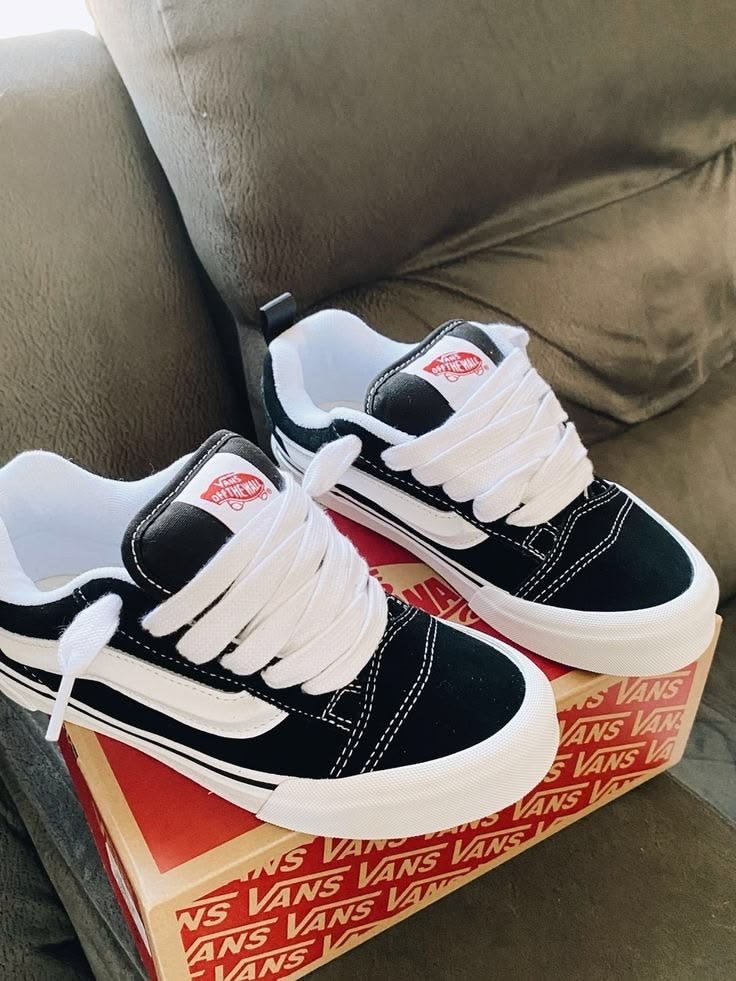 Vans new school edition